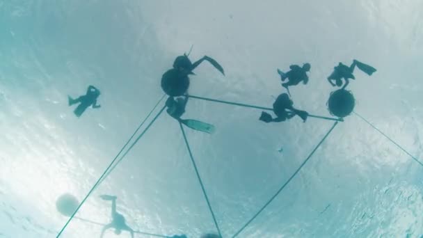 Freedivers Train Buoy Freedive Training Session Open Sea Top View — Stock Video