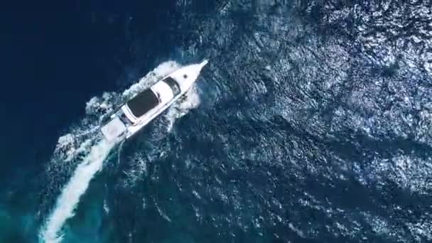 Speed Boat Moves Sea Fast Boat Steers Ocean Waves — Stock Video