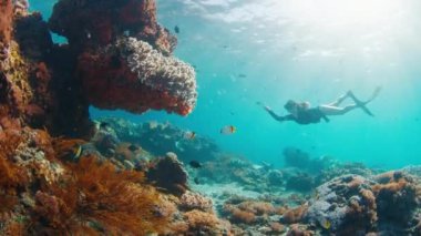 Resifte serbest kadın dalgıcı. Genç kadın serbest dalgıç su altında yüzer ve Endonezya, Bali 'deki Nusa Penida adasındaki sağlıklı mercan resiflerini keşfeder.
