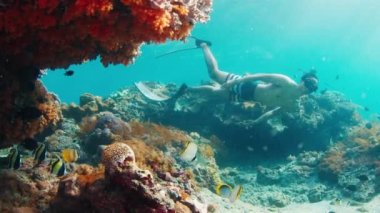 Erkek kurtarıcı. Asyalı erkek serbest dalgıç su altında yüzüyor ve Endonezya 'nın Bali adası yakınlarındaki sağlıklı resifi keşfediyor.