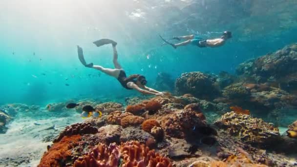 カップルが解放された インドネシア バリ島のヌサペニダ島近くの健康的なサンゴ礁の水中を泳いでいる フリーダイバーと女性にフィットします — ストック動画