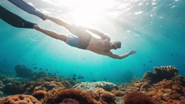 Homem Sexy Livre Jovens Homens Livres Nadam Debaixo Água Sobre — Vídeo de Stock