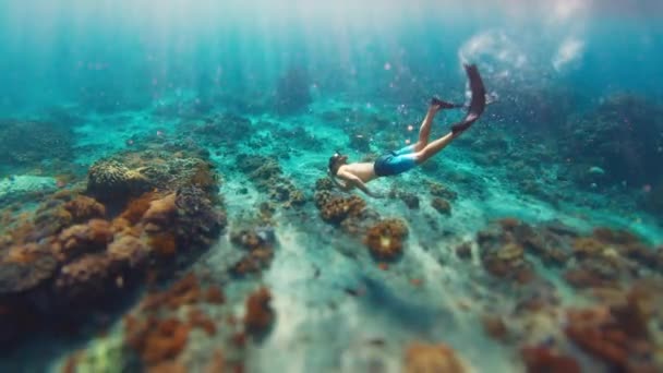 サンゴ礁で解放された 若いフィット男性の解放された川は インドネシアのバリのヌサペニダ島近くの健康的なサンゴ礁の上を泳いでいます — ストック動画