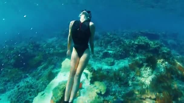 Сексуальные Женщины Фридайверы Молодая Женщина Фридайвер Плавает Водой Над Здоровым — стоковое видео