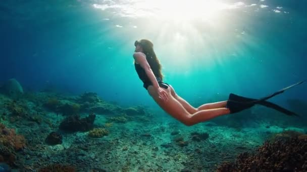 Sexy Vrouw Die Vrijduikt Jonge Vrouwelijke Freediver Zwemt Onderwater Het — Stockvideo
