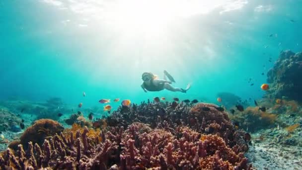 セクシーな女性はサンゴ礁で解放されました 若いフィット女性の解放された川は インドネシアのバリのヌサペニダ島近くの健康的なサンゴ礁の上を泳いでいます — ストック動画