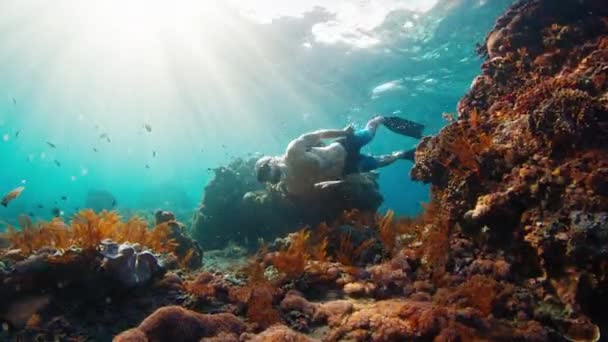 Sexy Man Freedives Jonge Mannetjesvrijduiker Zwemt Onderwater Het Gezonde Koraalrif — Stockvideo