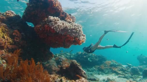 女性はサンゴ礁で解放された 若い女性が水中を泳ぎ インドネシアのバリ島ヌサペニダ島で健康的なサンゴ礁を探検します — ストック動画