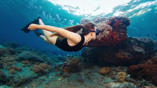 Mujer Sexy Freedives Joven Libre Hembra Forma Nada Bajo Agua — Vídeos de Stock