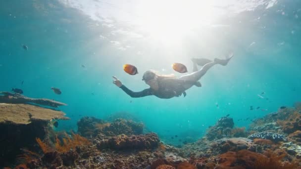 Wanita Penyelam Bebas Berenang Dengan Ikan Karang Perempuan Muda Freediver — Stok Video
