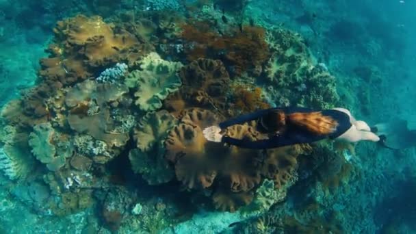 Vrouwelijke Vrijduiker Het Rif Jonge Vrouwelijke Freediver Zwemt Onder Water — Stockvideo
