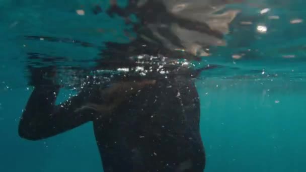 Портрет Фридайвера Портрет Молодой Женщины Фридайвера Плавающей Море Расщепленный Подводный — стоковое видео