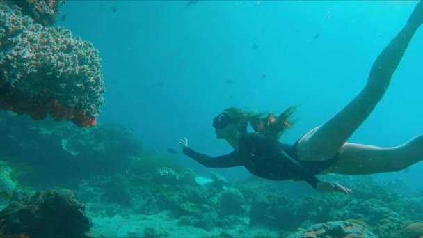 Vrouwelijke Vrijduiker Houdt Van Zwemmen Het Rif Jonge Vrouwelijke Freediver — Stockvideo