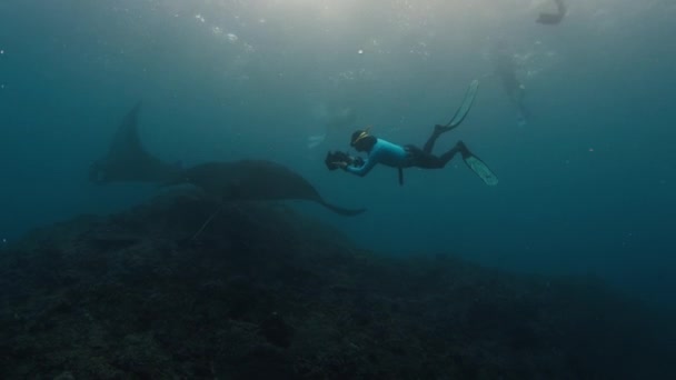 水下摄影师给曼塔 雷拍照 带着相机影片的自由者巨浪曼塔雷在珊瑚礁上游来游去 Nusa Penida 印度尼西亚巴厘 — 图库视频影像