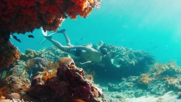 Mannelijke Vrijduiker Aziatische Vrijduiker Zwemt Onderwater Verkent Het Gezonde Rif — Stockvideo