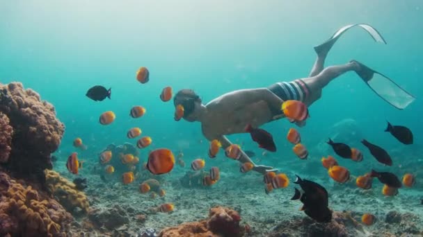 男は解放した アジアの男性が水中で泳ぎ インドネシアのバリ島近くの健康的なサンゴを探検します — ストック動画