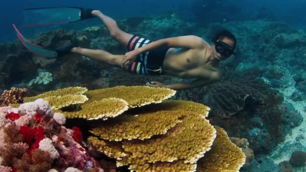 男は解放した アジアの男性が水中で泳ぎ インドネシアのバリ島近くの健康的なサンゴを探検します — ストック動画