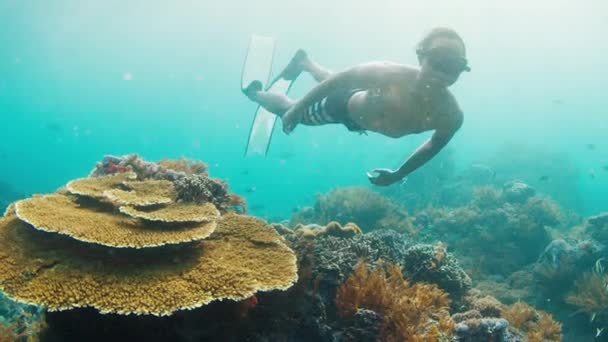 Мужчина Фридайвер Азиатский Самец Фридайвер Плавает Водой Исследует Здоровый Риф — стоковое видео