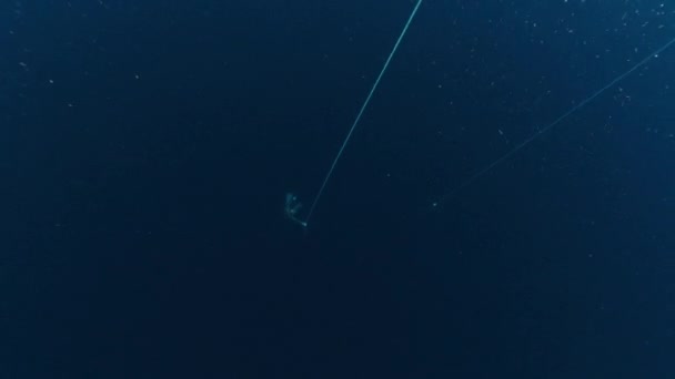 Woman Freediver Trains Sea Hangs Profound Darkness Holding Rope — Stock Video
