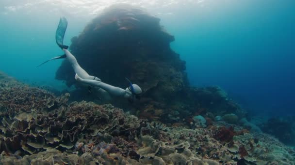 女性はサンゴ礁の上に水中で泳いでいる — ストック動画