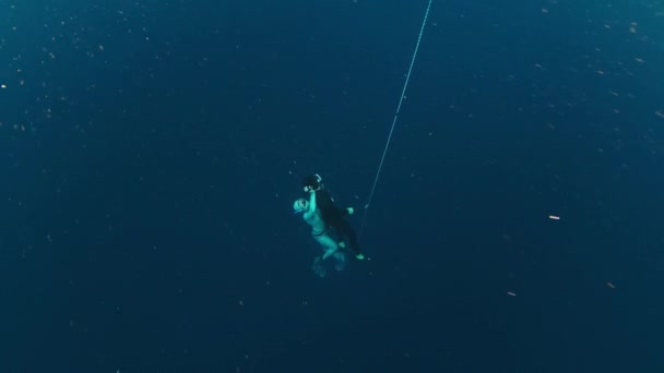 フリーダイバーはロープで作業し 救助を実践します 女性の無料ダイバーは 停電後に深さから表面に彼女のバディを提供します — ストック動画