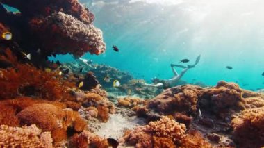 Serbest dalış yapan çift. Endonezya 'nın Bali kentindeki Nusa Penida adası yakınlarındaki sağlıklı mercan resifleri üzerinde su altında yüzen genç ve zinde dalgıçlar.