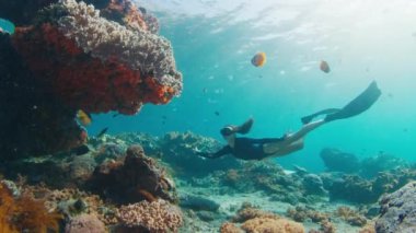 Kadın serbest dalgıç resifte balıklarla yüzer. Genç kadın serbest dalgıç su altında yüzer ve Endonezya, Bali 'deki Nusa Penida adasındaki sağlıklı mercan resiflerini keşfeder.