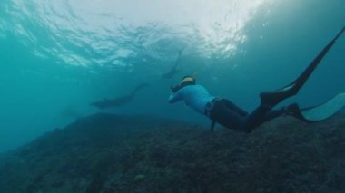 Sualtı fotoğrafçısı Manta Ray 'in fotoğrafını çeker. Resifin üzerinde yüzen dev okyanus Manta Ray 'i kameralı Freediver. Nusa Penida, Bali, Endonezya