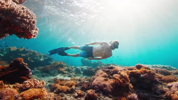 섹시한 프리다이브 인도네시아 발리의 페니다 근처의 건강한 산호초 위에서 수중에서 — 비디오