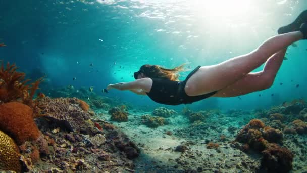 Femme Sexy Freedives Une Jeune Plongeuse Apnée Nage Sous Eau — Video