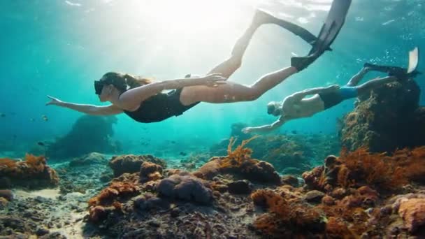 カップルが解放された インドネシア バリ島のヌサペニダ島近くの健康的なサンゴ礁の水中を泳いでいる フリーダイバーと女性にフィットします — ストック動画