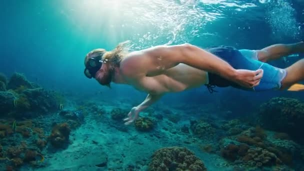 Sexy Man Freedives Молодой Спортсмен Плавает Водой Над Здоровым Коралловым — стоковое видео