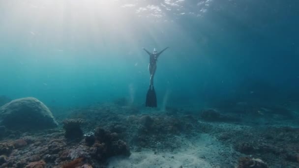 Freitaucherin Steigt Auf Junge Freitaucherin Schwimmt Unter Wasser Und Spielt — Stockvideo