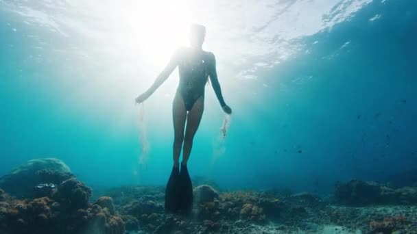 Wanita Penyelam Bebas Naik Perempuan Muda Freediver Berenang Bawah Air — Stok Video