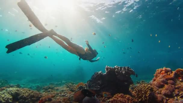 Woman Freediver Reef Young Female Freediver Swims Underwater Explores Healthy — Stock Video
