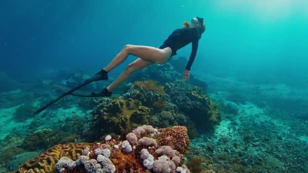 Kobieta Freediver Lubi Wodę Młoda Kobieta Freediver Pływa Rafie Lubi — Wideo stockowe
