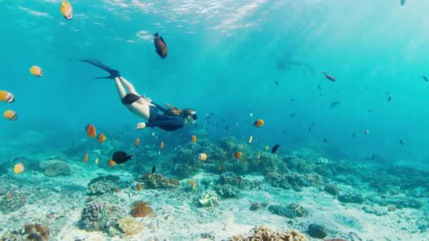 Kobieta Freediver Rafie Młoda Kobieta Freediver Pływa Pod Wodą Bada — Wideo stockowe