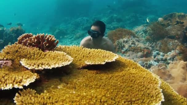 Male Freediver Asian Male Freediver Swims Underwater Explores Healthy Reef — Stock Video
