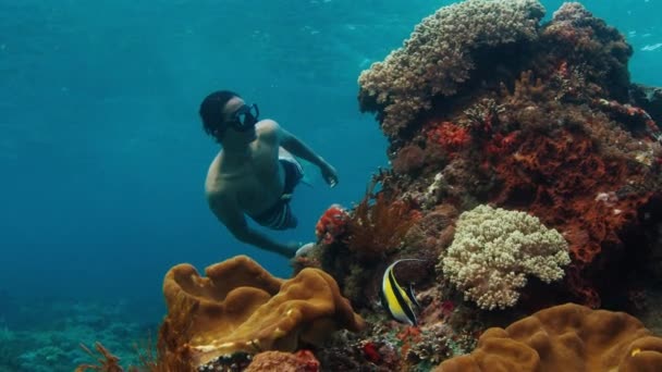 Чоловік Звільнився Азіатський Фрідайвер Плаває Під Водою Досліджує Здоровий Риф — стокове відео