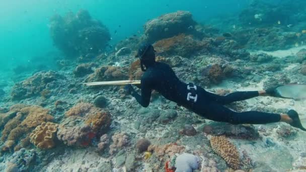 Memancing Laut Orang Memuntahkan Ikan Laut Dengan Tombak Pemandangan Bawah — Stok Video