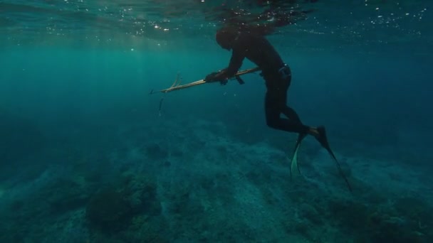 Deniz Zıpkıncılığı Adam Zıpkını Dolduruyor Zıpkınla Avlanan Serbest Dalgıcın Sualtı — Stok video