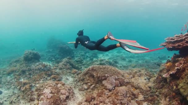 Морской Подводный Промысел Человек Копья Море Копьём Медленно Плавает Поисках — стоковое видео