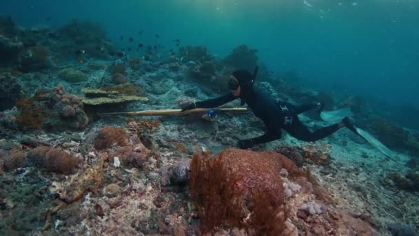 海のスピードフィッシング 人間はスパルガンで水中を泳ぎ サンゴ礁を探検する スパルガンとの解放された狩猟の水中眺め — ストック動画