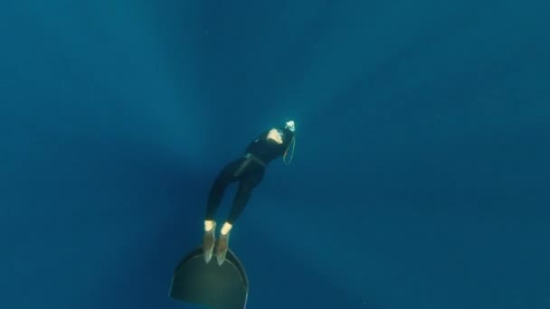 바다에서 프리다이빙 프리디버는 바다에서 모노핀에서 수영과 슬라이딩을 즐긴다 — 비디오
