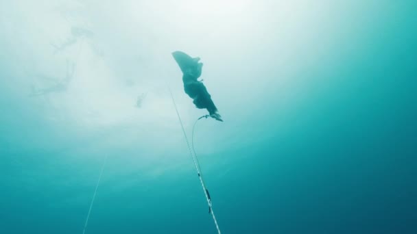 Freediving Rope Sea Male Freediver Descends Rope Monofin — Stock Video