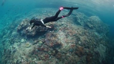 Freediver sağlıklı mercan resifinin yakınında yüzer ve güzelliğinden zevk alır.