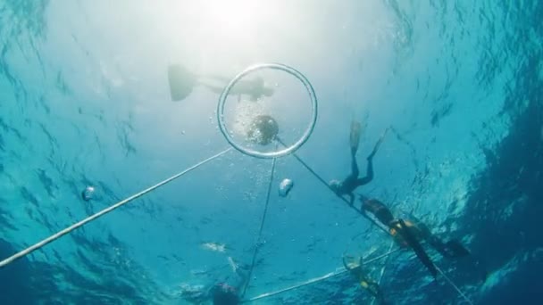 Freediving Linie Morzu Mężczyzna Freediver Nurkuje Przez Pierścień Bańka Monofin — Wideo stockowe