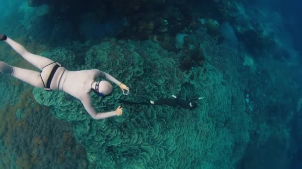 Kobieta Freediver Pływa Pod Wodą Nad Rafą Koralową Filmuje Kolejną — Wideo stockowe