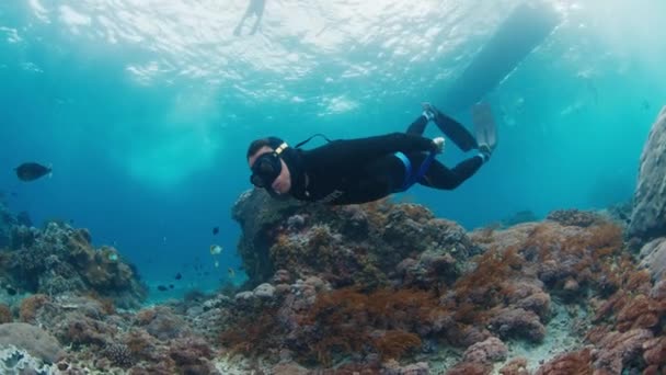 프리디버는 산호초 위에서 천천히 수영합니다 — 비디오