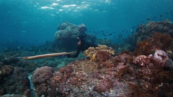 アンブッシュ スピーチ 人間はスピルガンで海でスピリッツァーし サンゴ礁の後ろの待ち伏せに隠れています スパルガンとの解放された狩猟の水中眺め — ストック動画